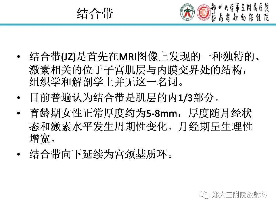 【PPT】育龄期女性正常子宫的MRI表现