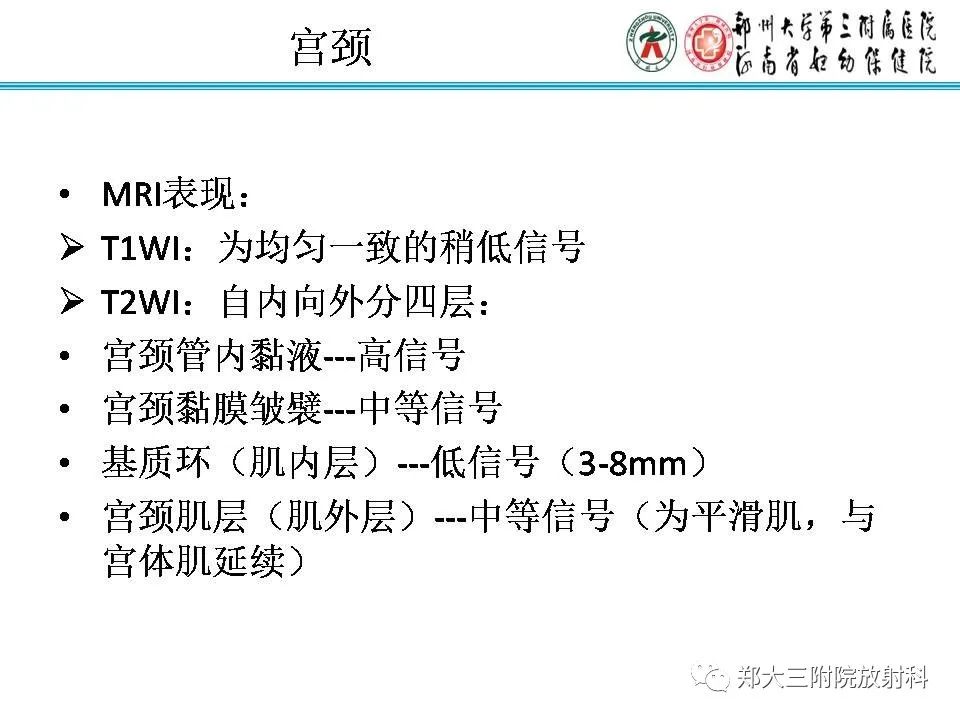 【PPT】育龄期女性正常子宫的MRI表现