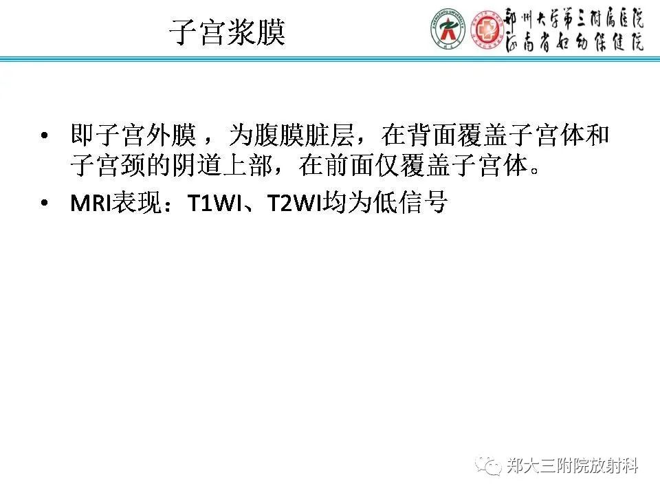 【PPT】育龄期女性正常子宫的MRI表现
