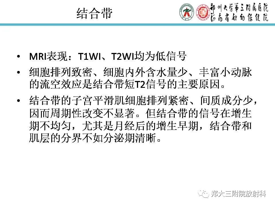 【PPT】育龄期女性正常子宫的MRI表现