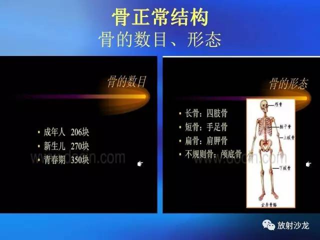 【PPT】骨、关节X线表现、正常变异