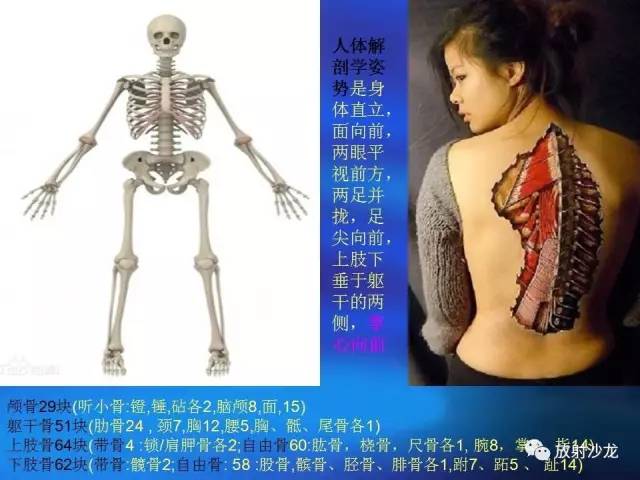 【PPT】骨、关节X线表现、正常变异