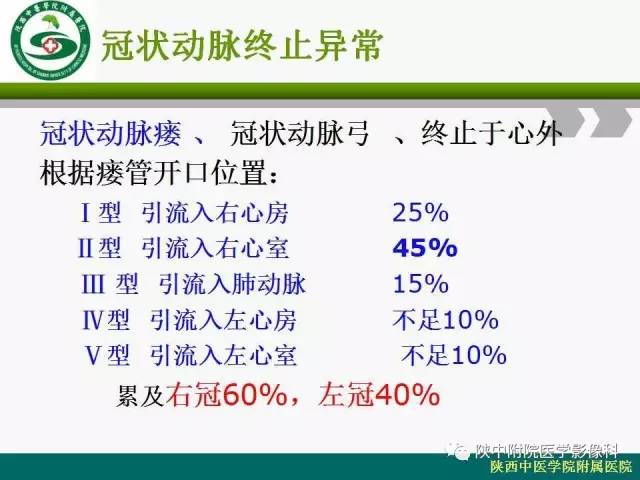 【PPT】冠状动脉、静脉正常解剖与变异