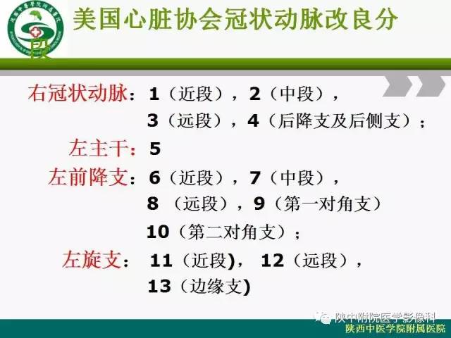 【PPT】冠状动脉、静脉正常解剖与变异