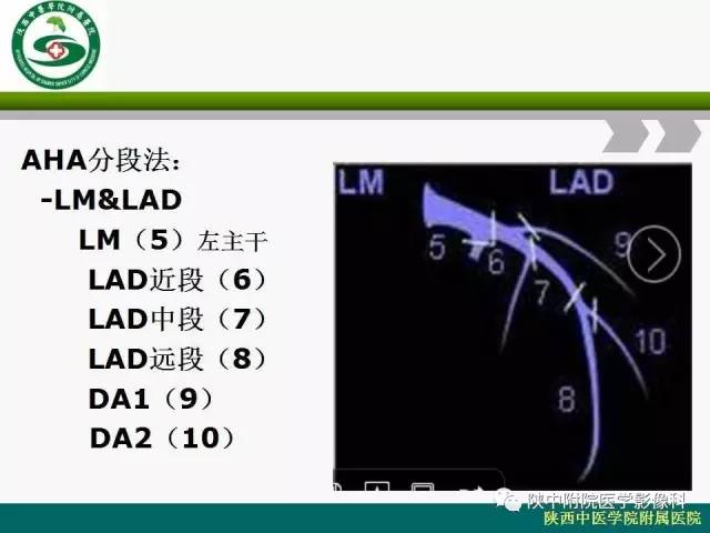 【PPT】冠状动脉、静脉正常解剖与变异