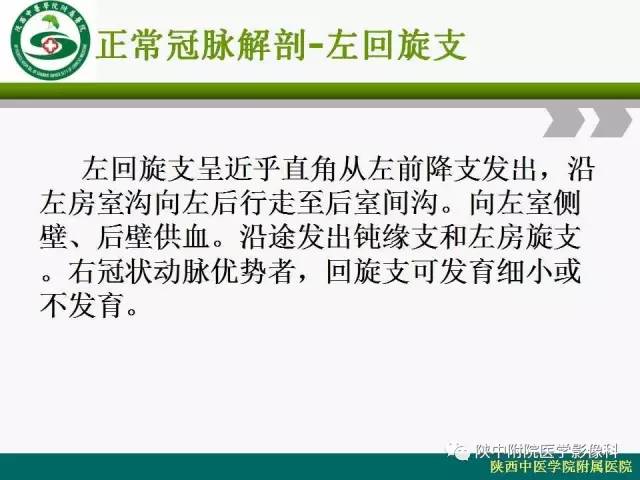 【PPT】冠状动脉、静脉正常解剖与变异