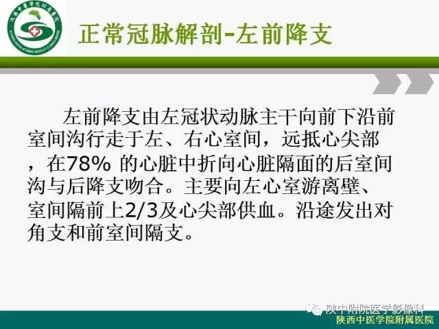 【PPT】冠状动脉、静脉正常解剖与变异