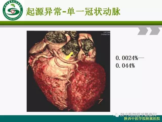 【PPT】冠状动脉、静脉正常解剖与变异