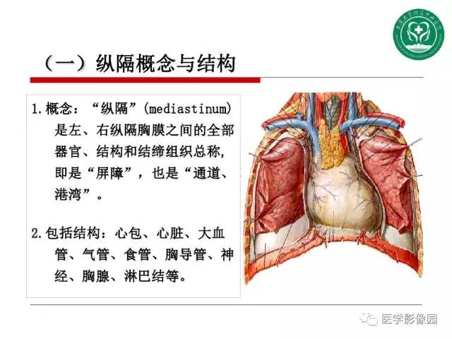 【PPT】纵隔肿瘤的影像检查规范及诊断思路