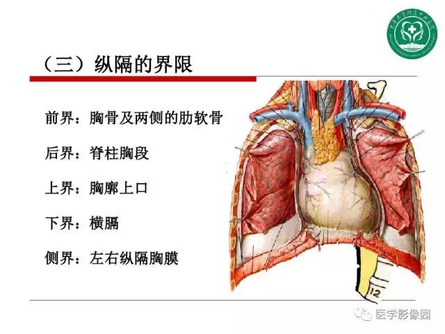 【PPT】纵隔肿瘤的影像检查规范及诊断思路