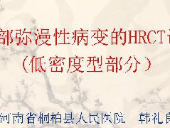 肺部弥漫性病变的HRCT诊断(低密度型部分)