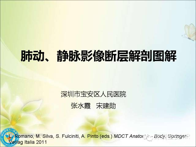 【PPT】肺动、静脉影像断层解剖图解