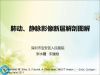 肺动、静脉影像断层解剖图解