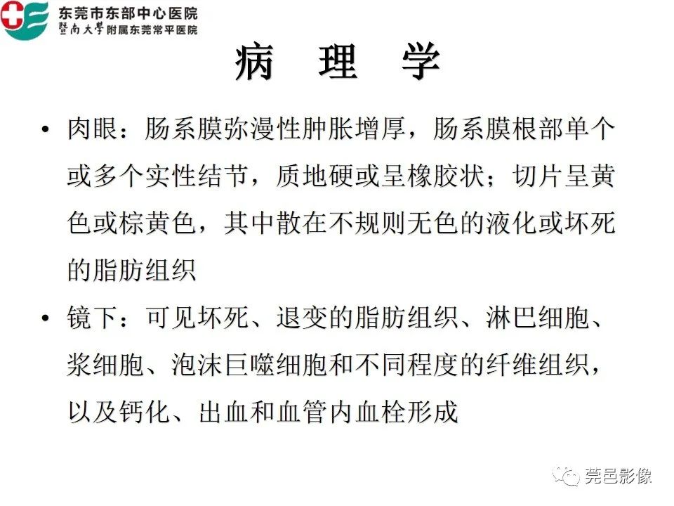 【PPT】肠系膜脂膜炎的CT表现