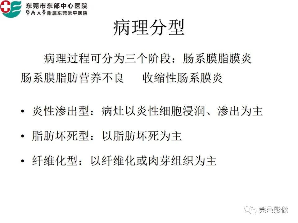 【PPT】肠系膜脂膜炎的CT表现