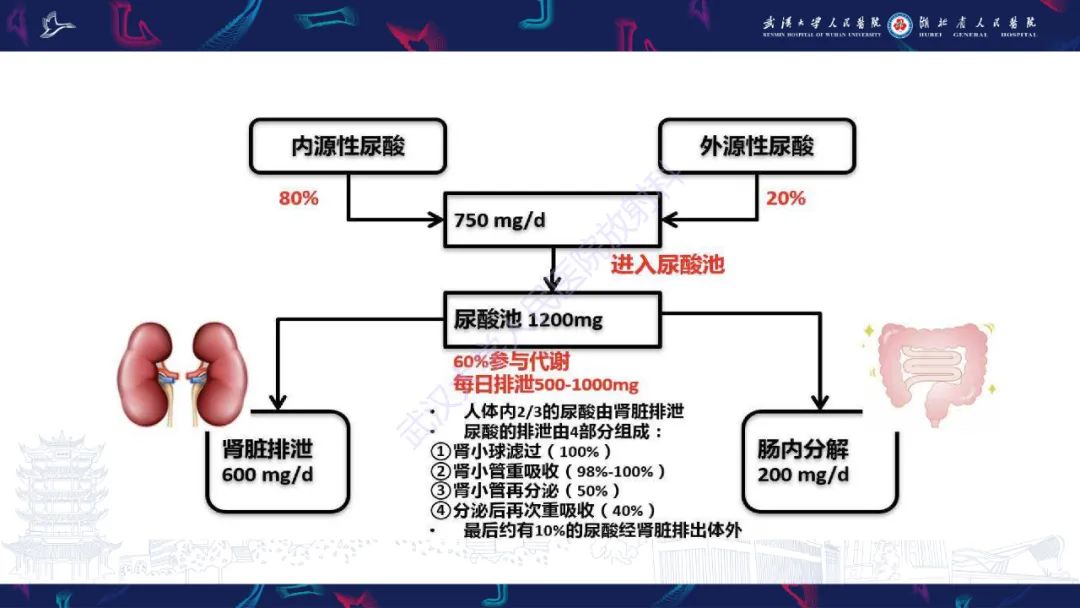 【PPT】关节痛风影像诊断