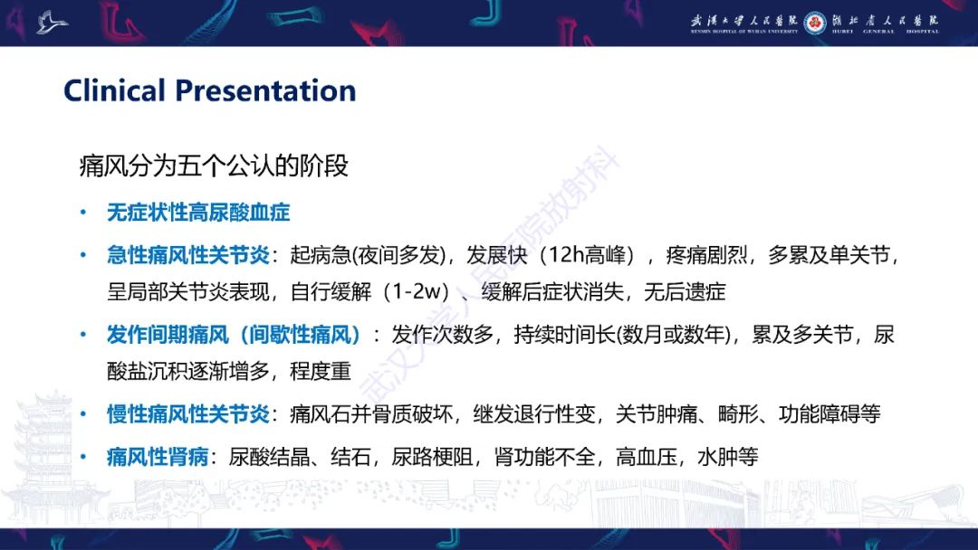 【PPT】关节痛风影像诊断
