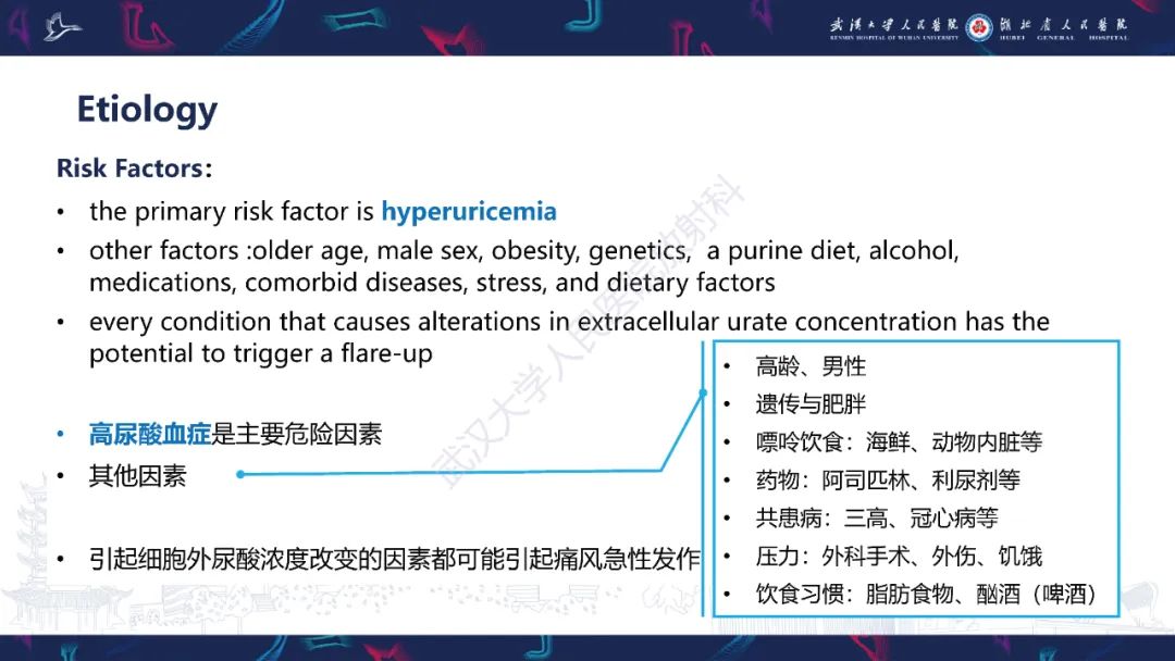 【PPT】关节痛风影像诊断