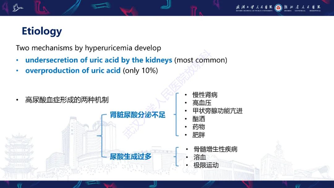【PPT】关节痛风影像诊断