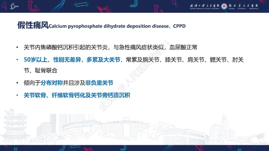 【PPT】关节痛风影像诊断