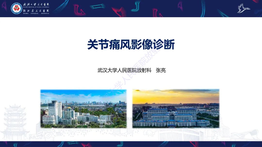 【PPT】关节痛风影像诊断