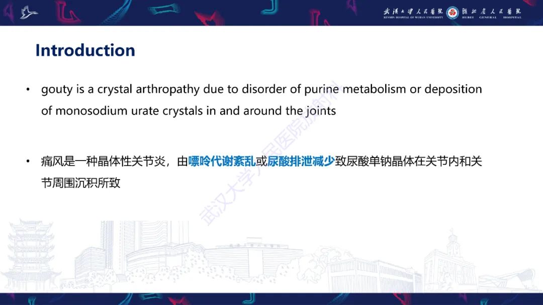 【PPT】关节痛风影像诊断
