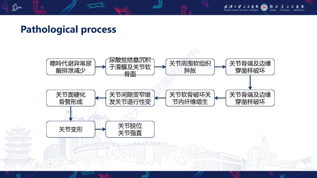 【PPT】关节痛风影像诊断