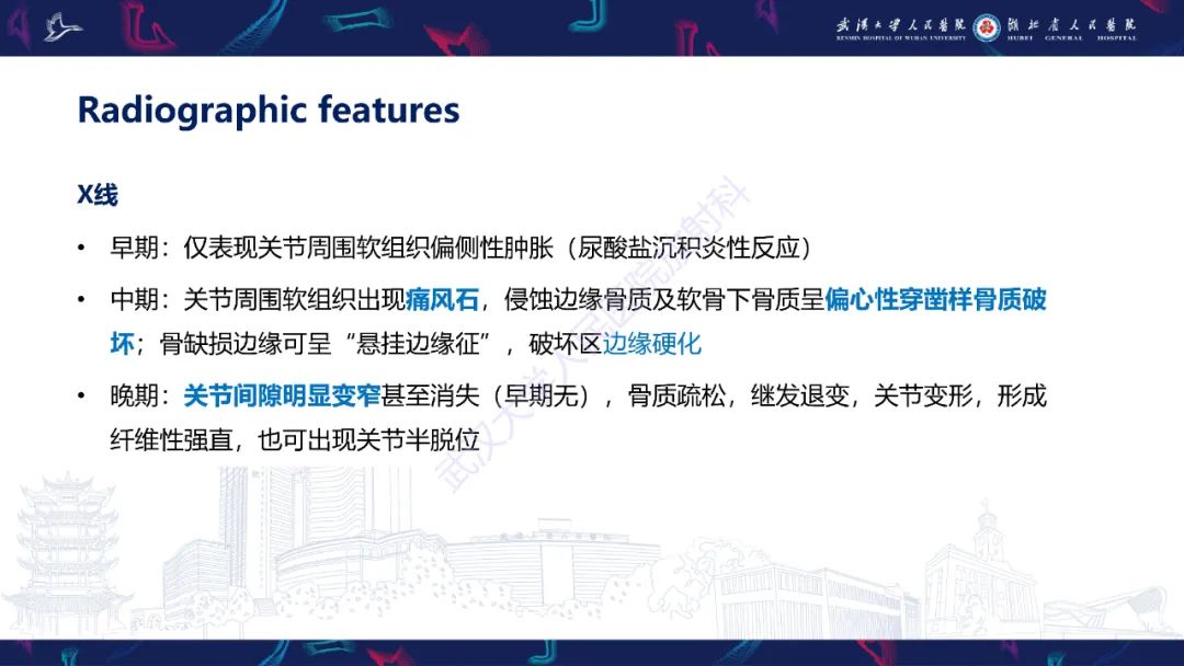 【PPT】关节痛风影像诊断