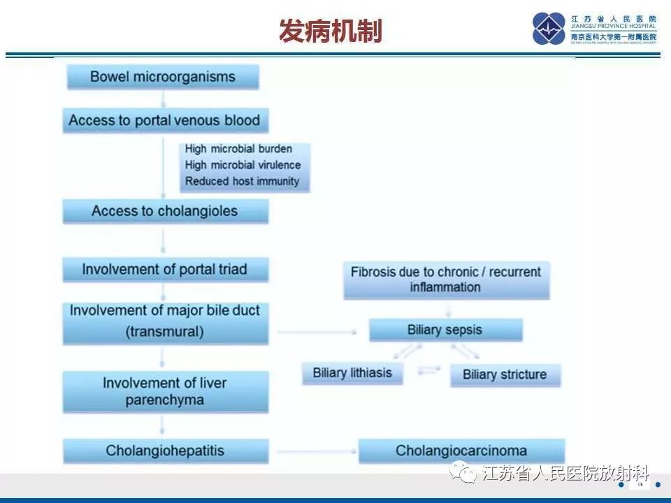 【病例】复发性化脓性胆管炎1例CT及MR影像