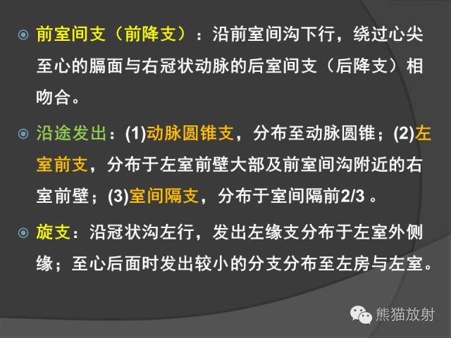 【PPT】冠状动脉解剖