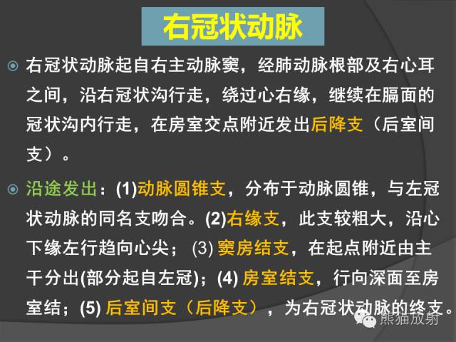 【PPT】冠状动脉解剖