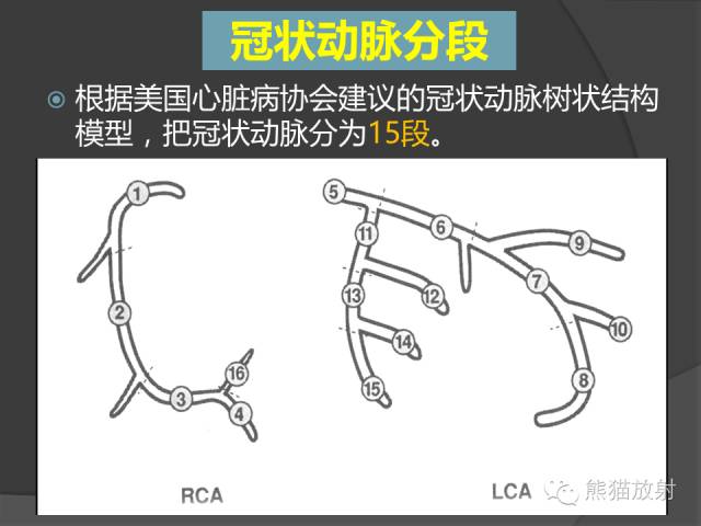 【PPT】冠状动脉解剖