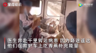 这叫什么事啊！奔赴千里转运患者，医生救护车上吃香蕉被喷……