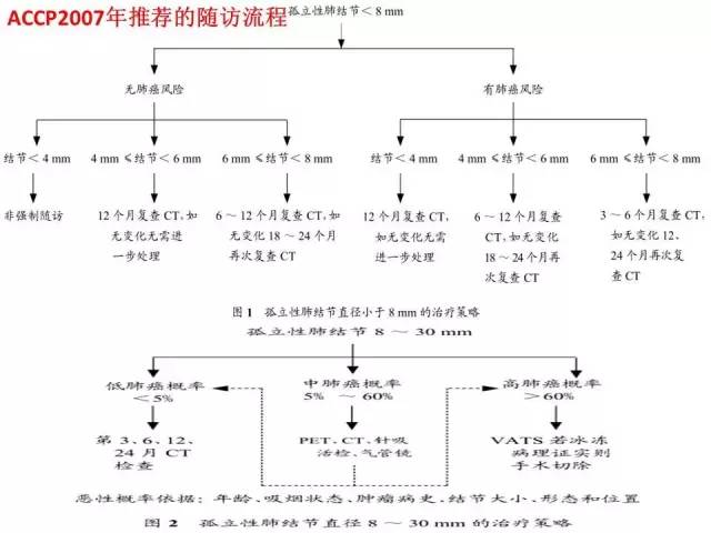 【PPT】肺内孤立性小结节的CT诊断探析
