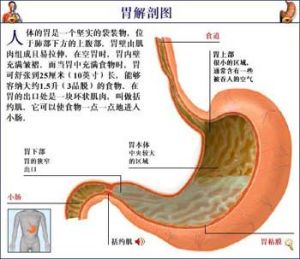 呃逆 呃逆