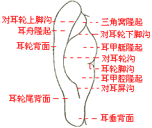 急性胆囊炎