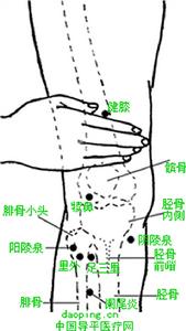 多发性骨骺发育不良 多发性骨骺发育不良