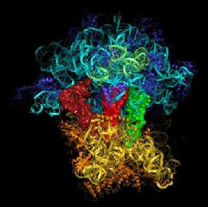 食管贲门失弛缓症