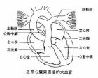 心脏损伤