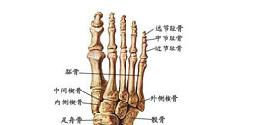 癌肿性关节炎 癌肿性关节炎