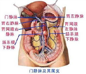 肠系膜囊肿 肠系膜囊肿